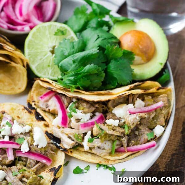 Slow Cooker Apple Cider Pulled Pork Sandwiches 15 Pork tacos on a plate with cilantro, avocados, and pickled red onions.