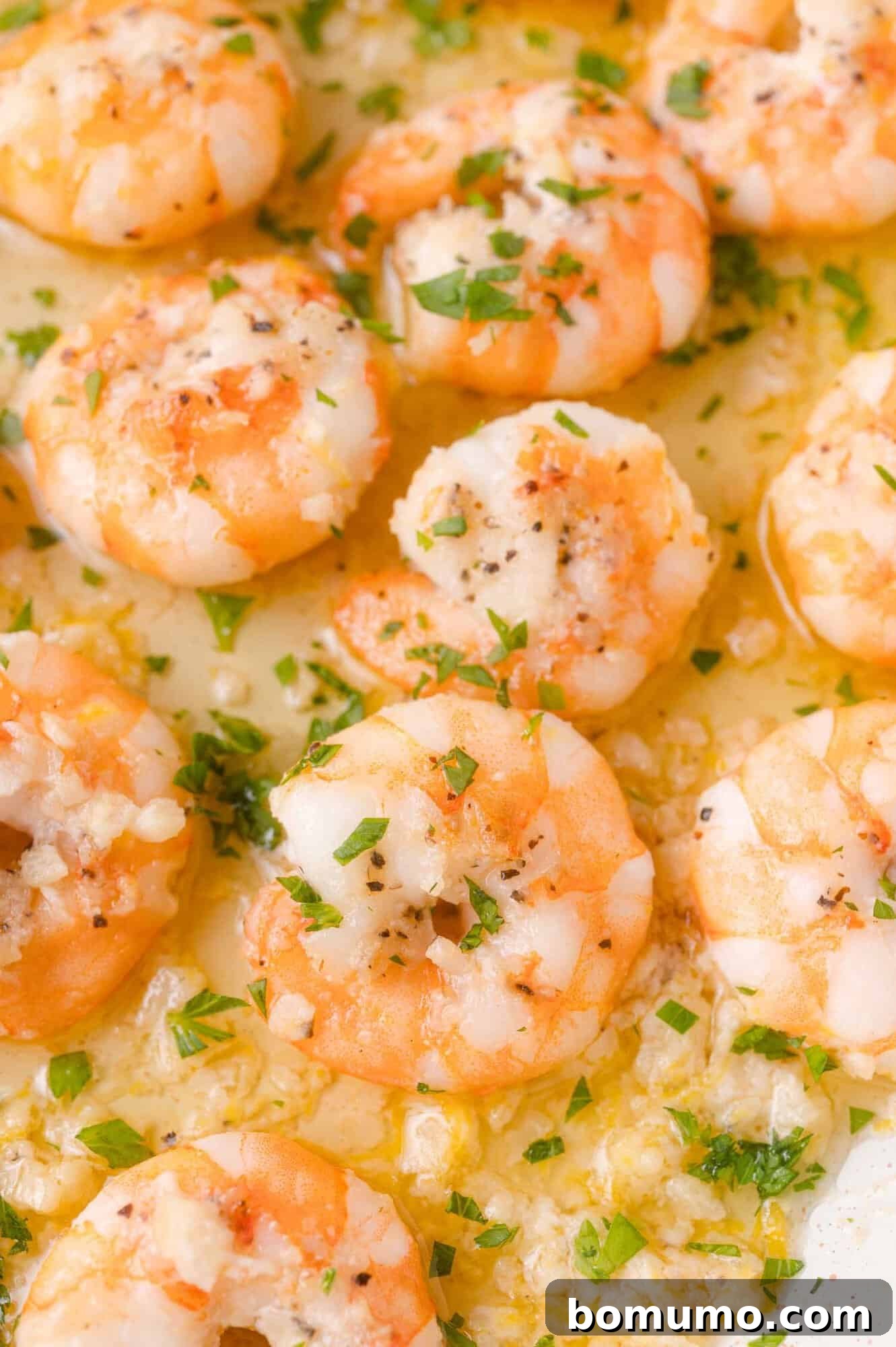 Garlic Butter Shrimp Scampi with Lemon and Parsley 11 Cooked shrimp topped with minced garlic, chopped parsley, and a buttery sauce, arranged closely together on a white surface.