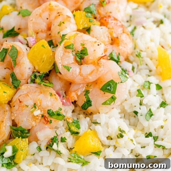 Garlic Butter Shrimp Scampi with Lemon and Parsley 15 Shrimp with chimichurri rice and oranges.
