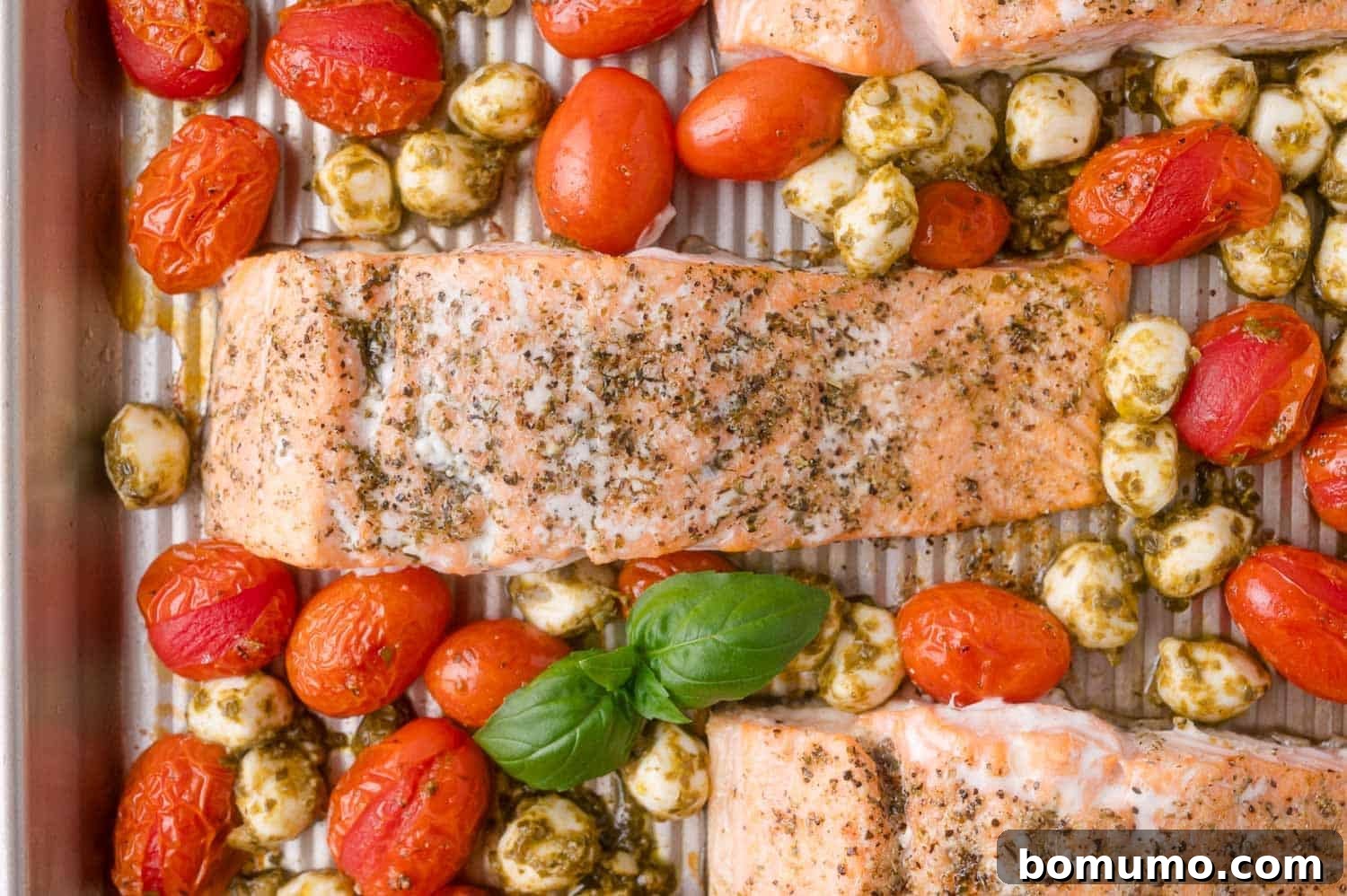 Sheet Pan Caprese Salmon with Tomatoes and Basil 11 Baked salmon fillets with cherry tomatoes and mozzarella balls, garnished with pesto and fresh basil, on a metal baking sheet.