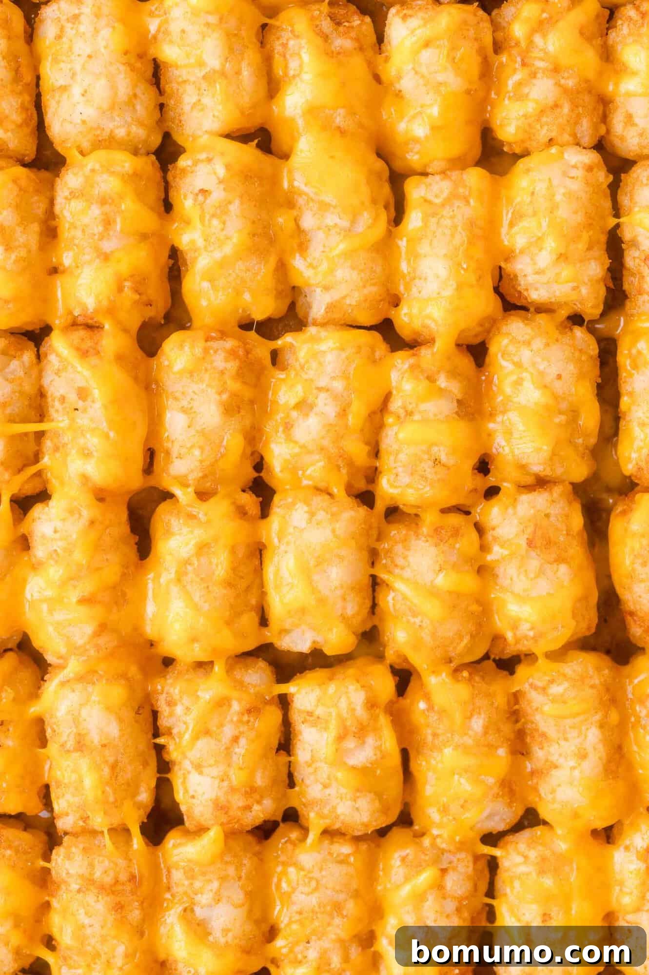 Cheeseburger Tater Tot Casserole Made Without Canned Soup 10 Rows of golden tater tots topped with melted cheddar cheese, arranged closely together in a grid pattern.